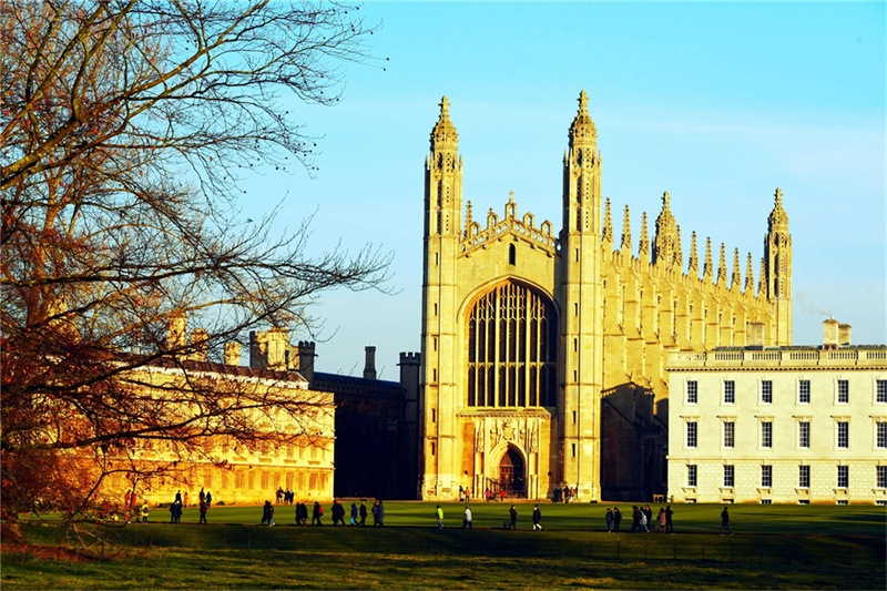 _选科专业_高考选科专业指南