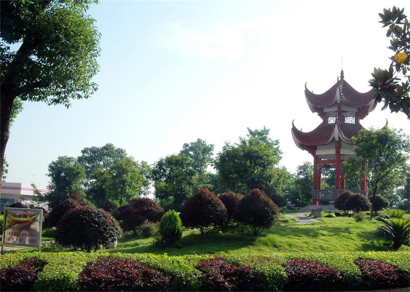 _常德芷兰学校收费标准_常德芷兰实验学校老师