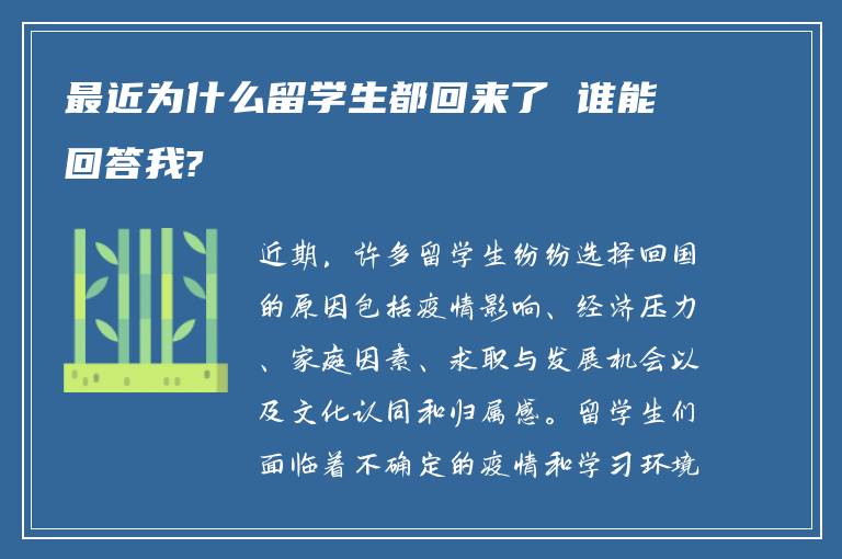 最近为什么留学生都回来了 谁能回答我?