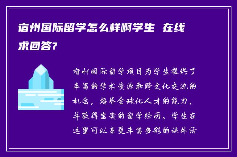 宿州国际留学怎么样啊学生 在线求回答?